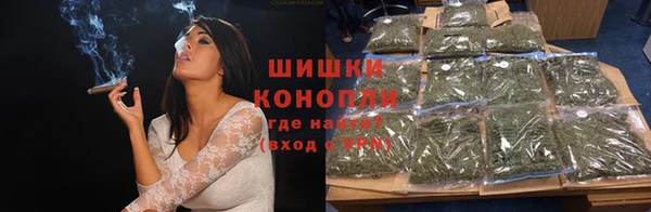 ГАЛЛЮЦИНОГЕННЫЕ ГРИБЫ Белоозёрский