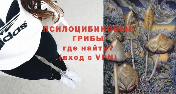 прущие грибы Белокуриха