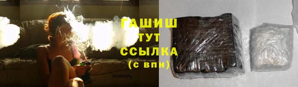 прущие грибы Белокуриха