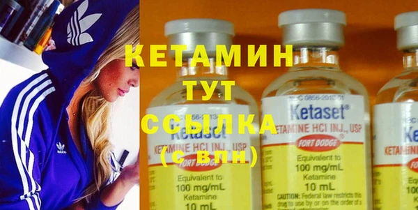 прущие грибы Белокуриха