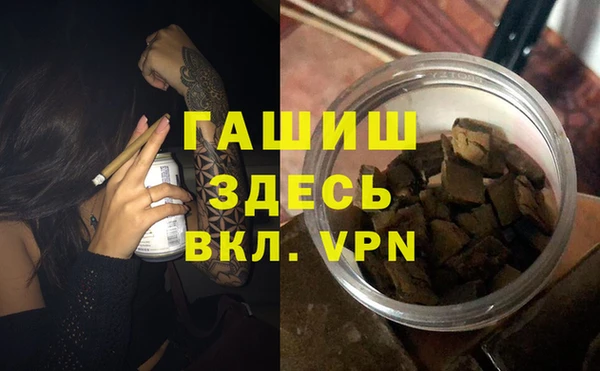 прущие грибы Белокуриха