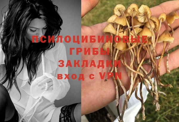 ГАЛЛЮЦИНОГЕННЫЕ ГРИБЫ Белоозёрский
