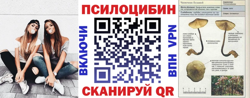 Галлюциногенные грибы мицелий  магазин продажи   MEGA ТОР  Власиха 
